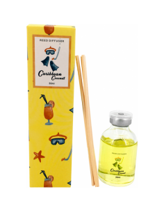 AMBIENTADOR SUMMER 30 ML 2