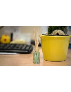 DIFUSOR AROMaTICO AMBIENTADOR OCEANO AZUL 2