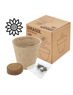MACETA BIO CON SEMILLAS DE GIRASOL