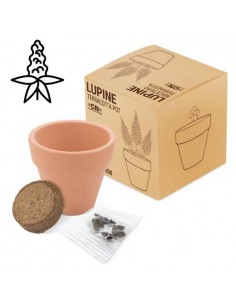 MACETA TERRACOTA CON SEMILLAS DE LUPINE 2