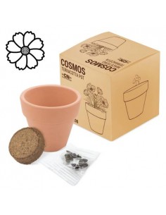 MACETA TERRACOTA CON SEMILLAS DE COSMOS 2